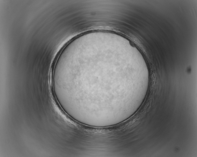 X0000116321084200912221354