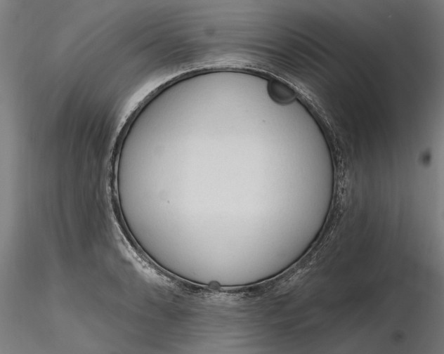 X0000116321086200912221354