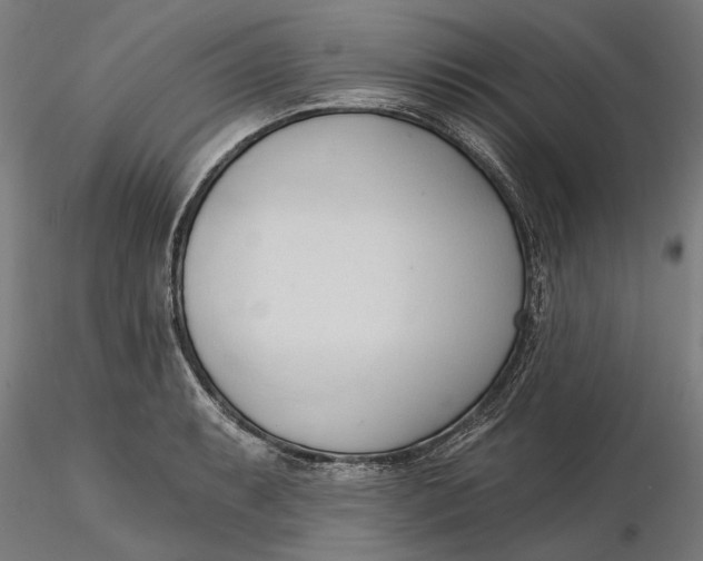 X0000116321087200912221354