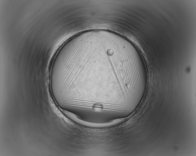 X0000116321088200912221354