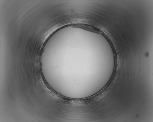 X0000116321089200912221354