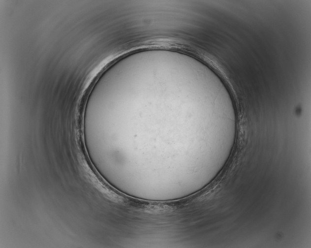 X0000116321091200912221354