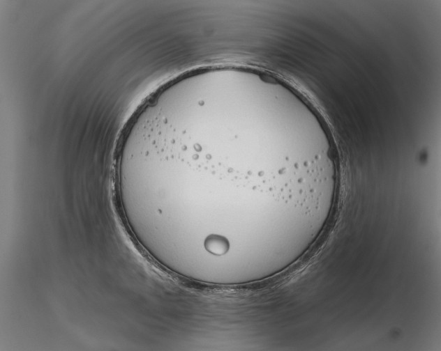 X0000116321093200912221354