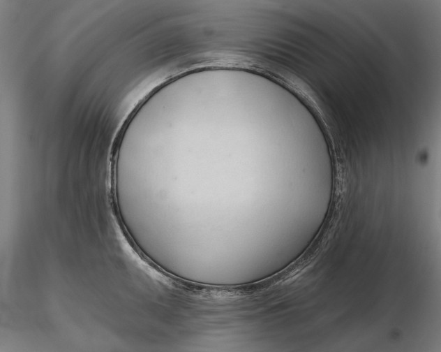 X0000116321095200912221354