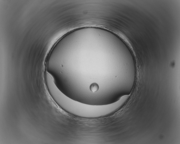 X0000116321096200912221354