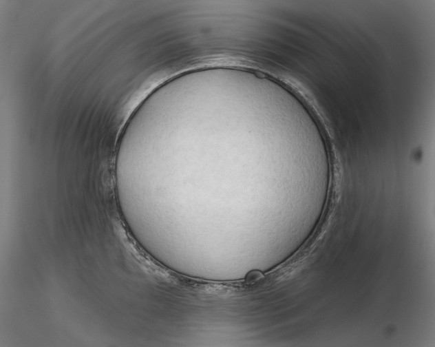 X0000116321097200912221354