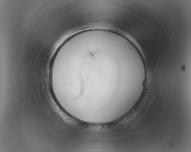 X0000116321099200912221354