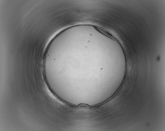 X0000116321100200912221354