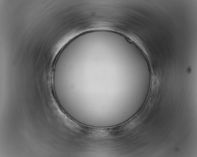 X0000116321101200912221354