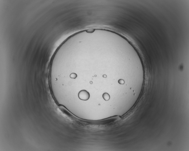 X0000116321102200912221354