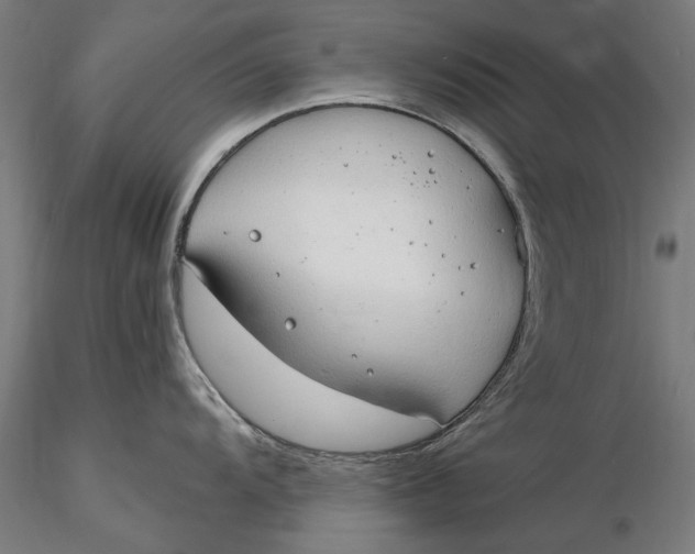 X0000116321104200912221353