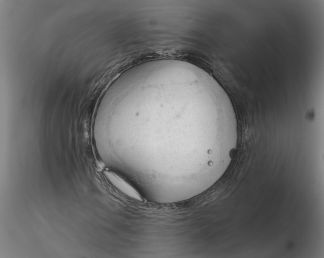 X0000116321106200912221353