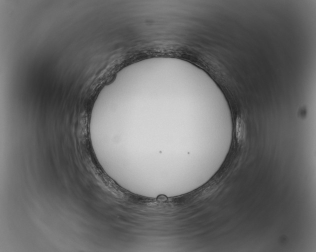 X0000116321107200912221353