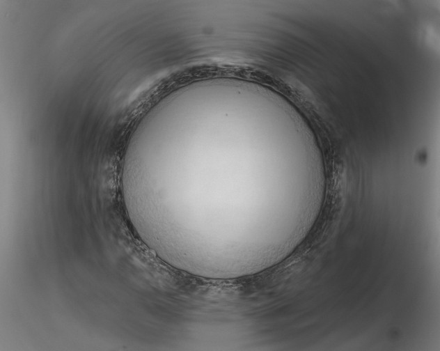 X0000116321110200912221353