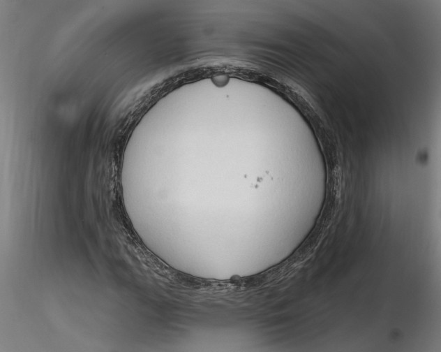 X0000116321111200912221353