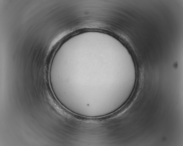 X0000116321114200912221353