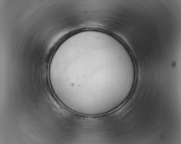 X0000116321115200912221353