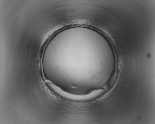 X0000116321117200912221353