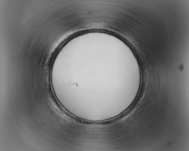 X0000116321118200912221353