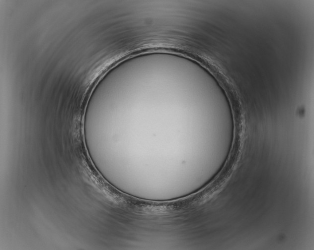 X0000116321121200912221353