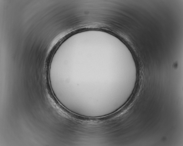 X0000116321122200912221353