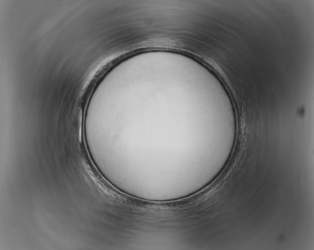 X0000116321123200912221353