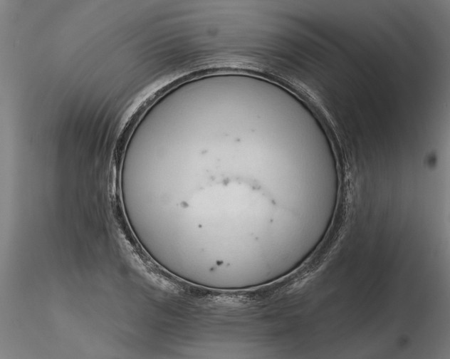 X0000116321125200912221353