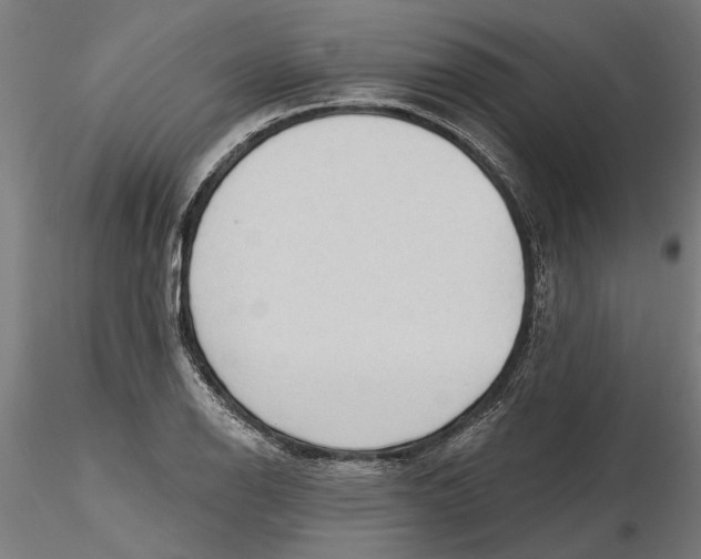 X0000116321126200912221353