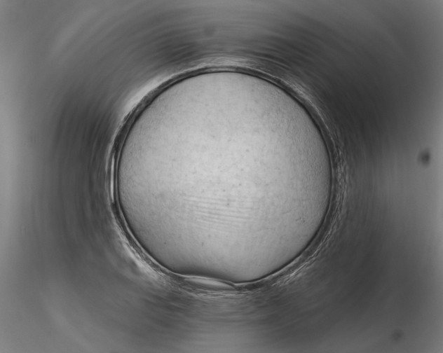 X0000116321127200912221353