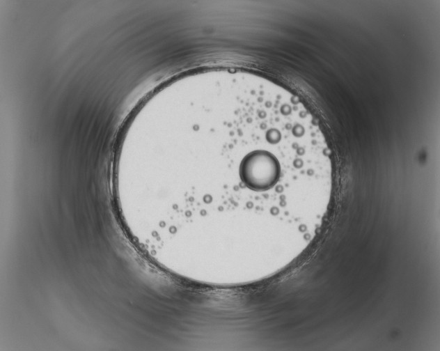 X0000116321130200912221353