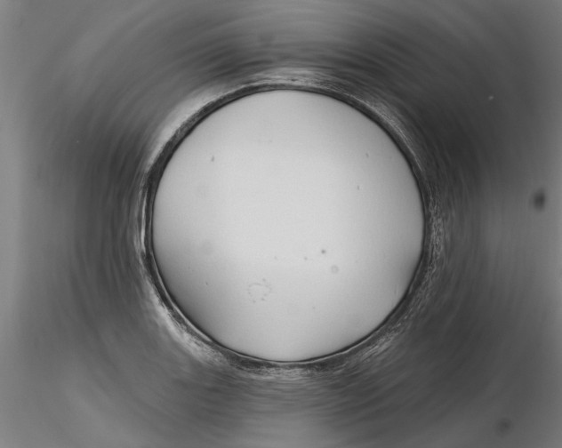 X0000116321131200912221353