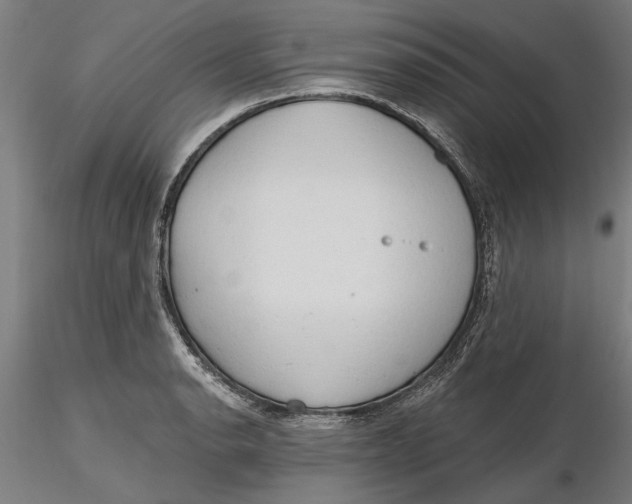 X0000116321134200912221353