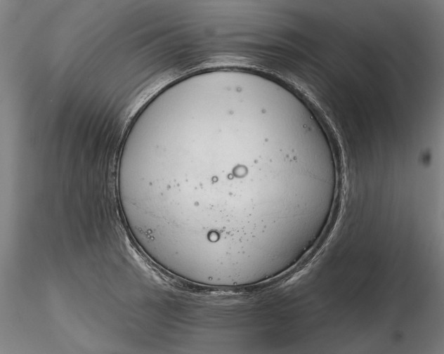 X0000116321137200912221353