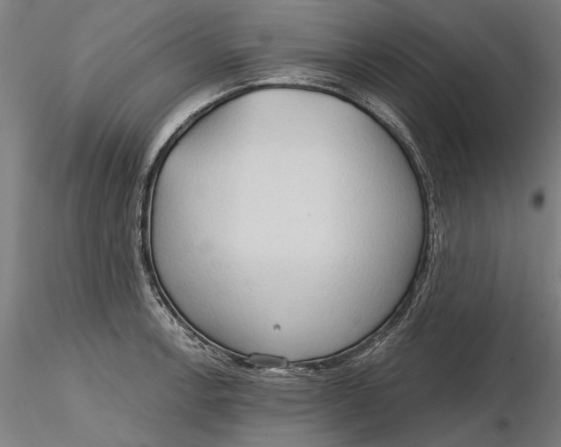 X0000116321138200912221353