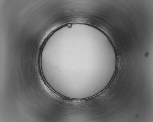 X0000116321139200912221353