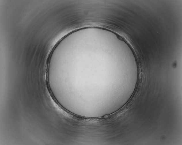 X0000116321143200912221353