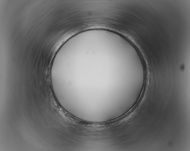 X0000116321145200912221353