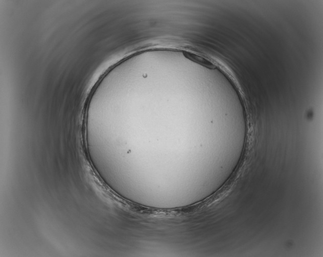 X0000116321146200912221353