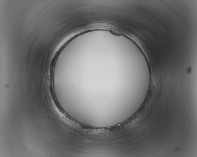 X0000116321147200912221353