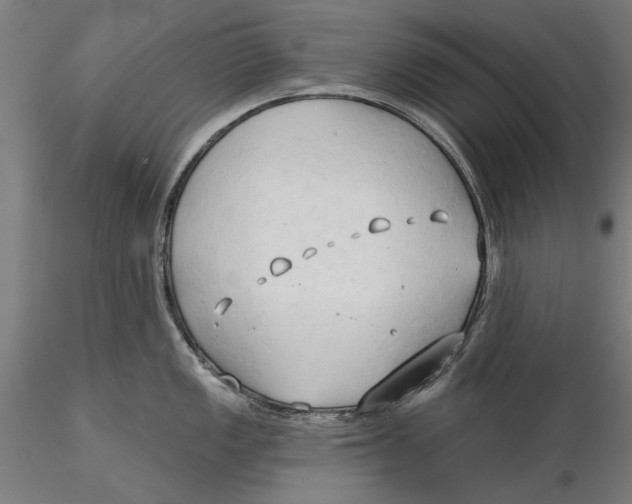 X0000116321149200912221353