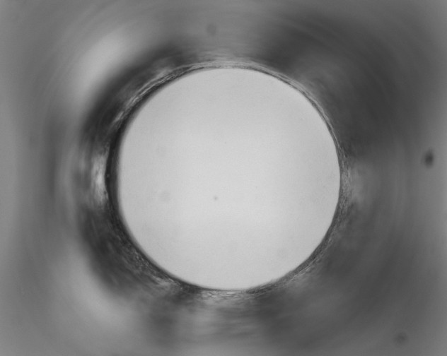 X0000116321150200912221353