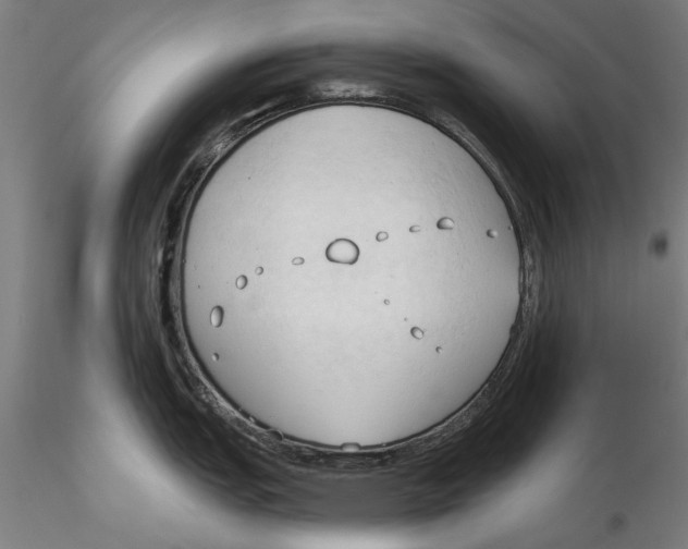 X0000116321151200912221353