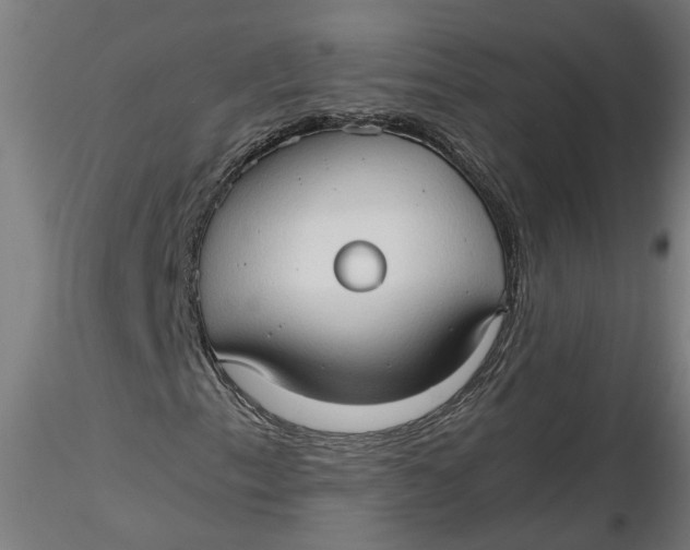 X0000116321153200912221353