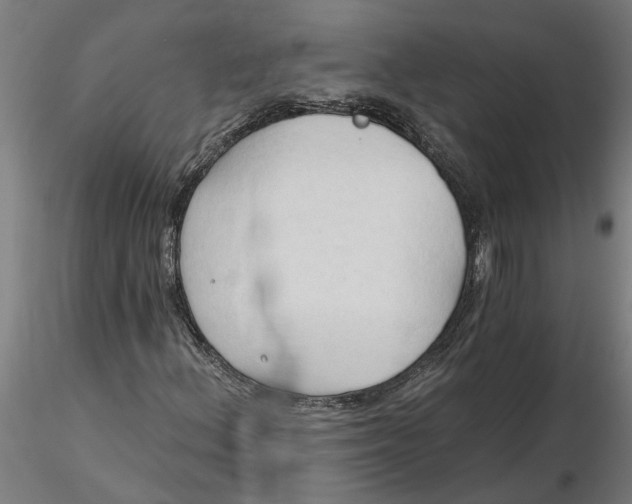 X0000116321156200912221353