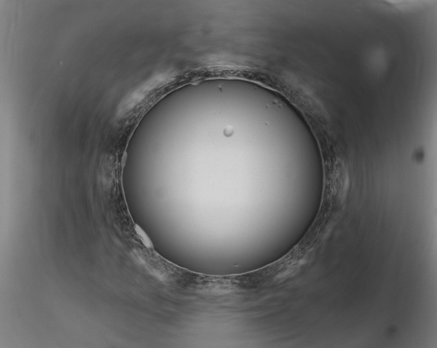 X0000116321157200912221353