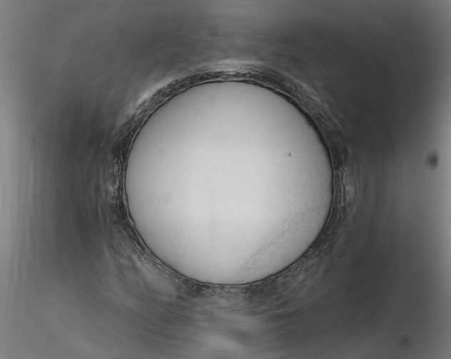 X0000116321158200912221353