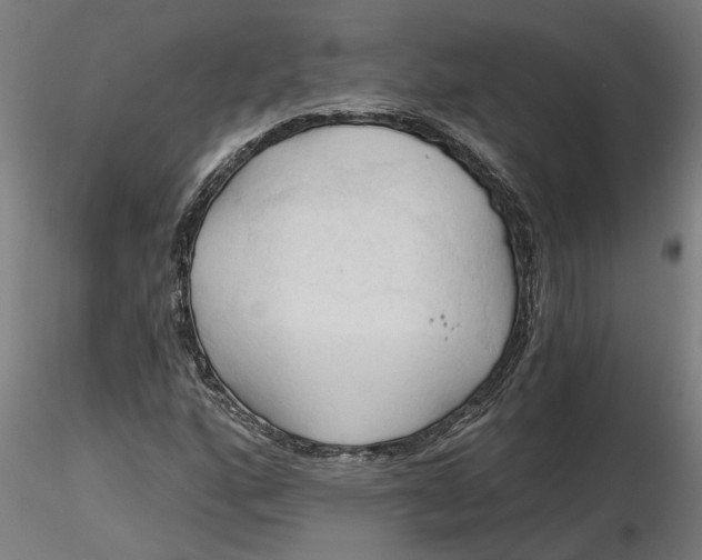 X0000116321160200912221353