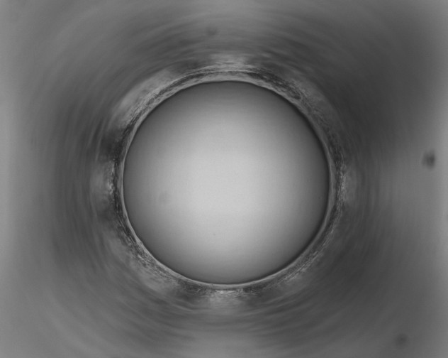 X0000116321161200912221353