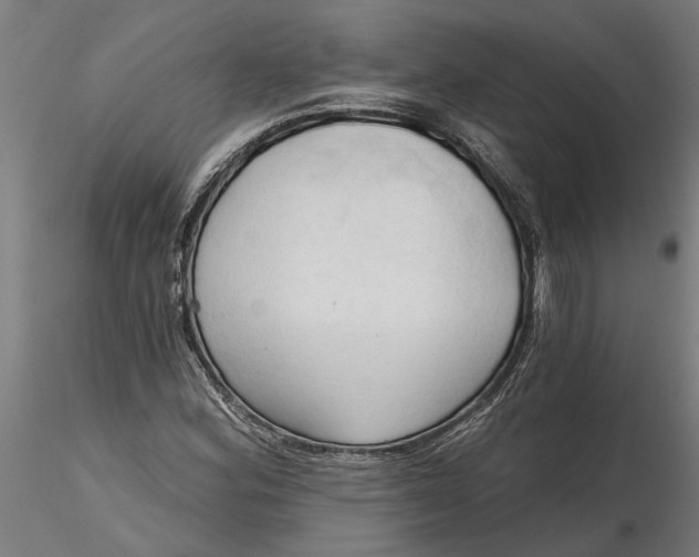 X0000116321164200912221353