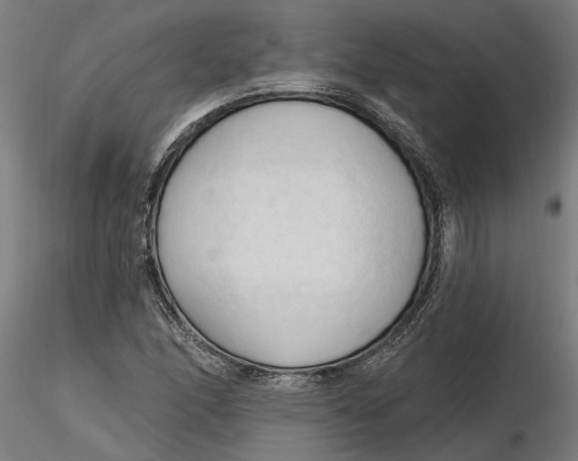 X0000116321166200912221353